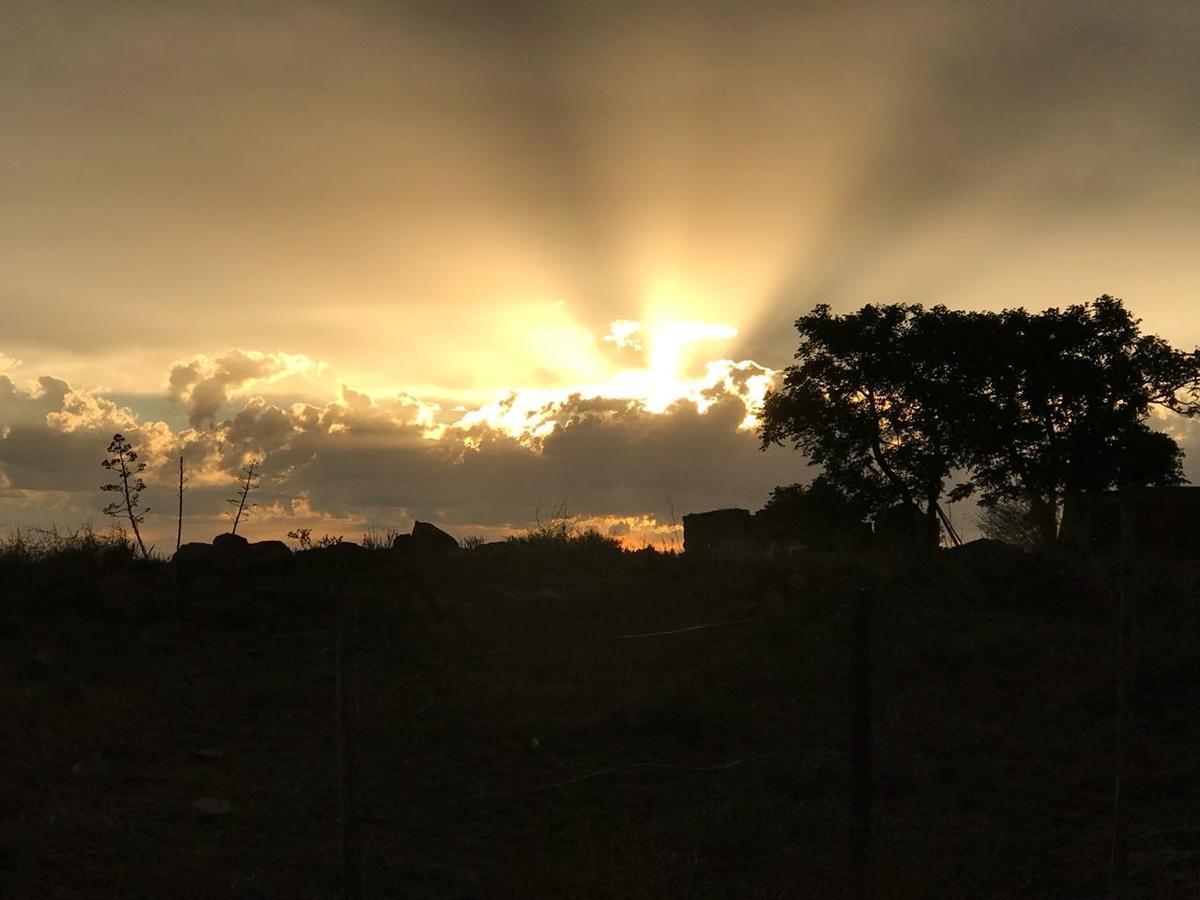 Morning Glory Cottages Venterstad Buitenkant foto